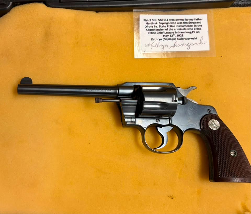 picnic speaker brought a pistol belonging to Martin Sapiego